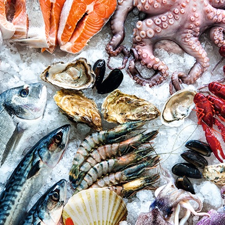 METRO Ultrafrische, Fisch