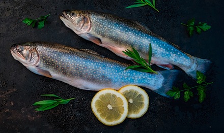 METRO Fisch, Regionalitaet
