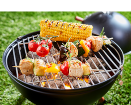Griller und Grillkohle
