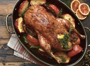 Fülle für die Gans