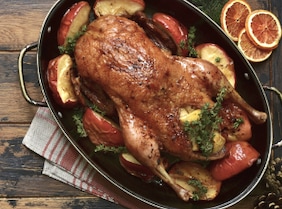 Fülle für die Gans