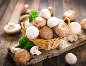 Nicht Pflanze, nicht Tier