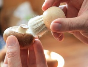 Pilze vorsichtig reinigen