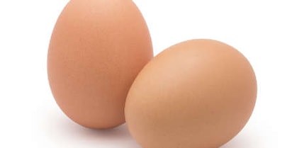 Eier