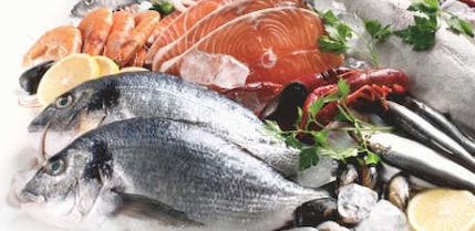 Fisch