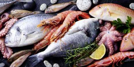 Fisch & Meeresfrüchte