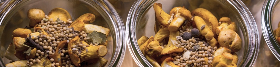 Haltbar machen und genießen