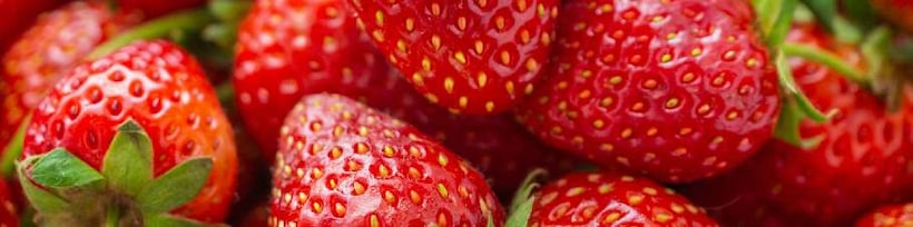 Erdbeere