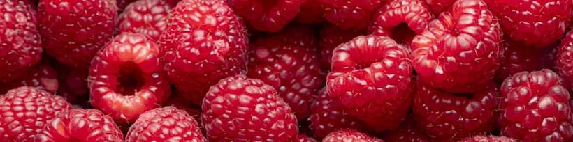 Himbeeren