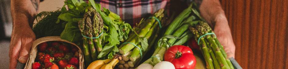 Lieferbedingungen und Konditionen