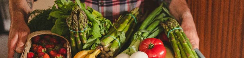 Lieferbedingungen und Konditionen