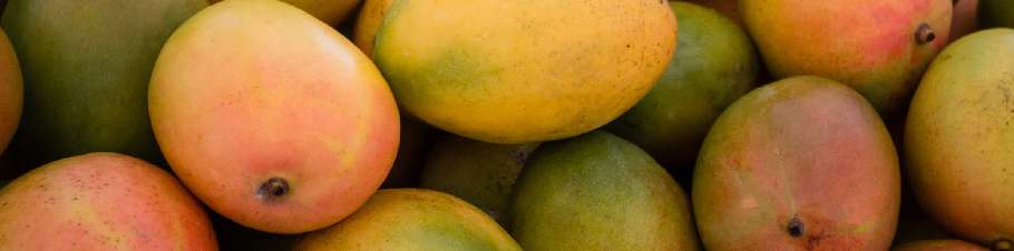 Mango
