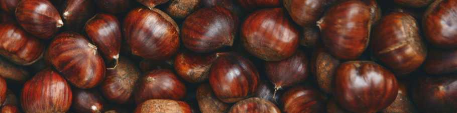 Kostbar in jeder Hinsicht