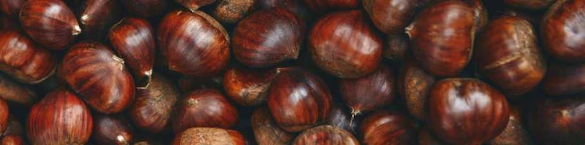 Kostbar in jeder Hinsicht