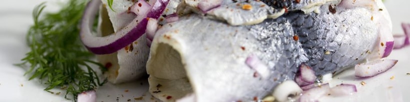 Frischer Matjeshering