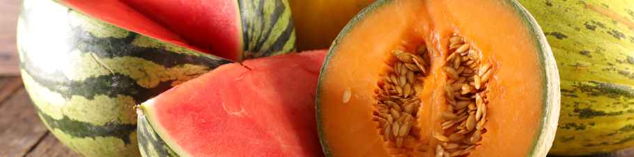 Erfrischende Melonen