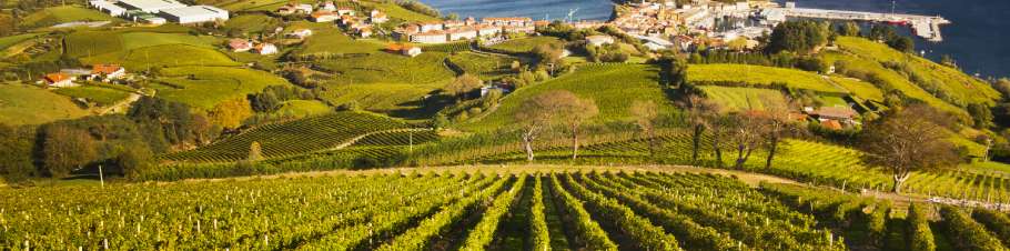 Wein Spanien, Portugal und Griechenland