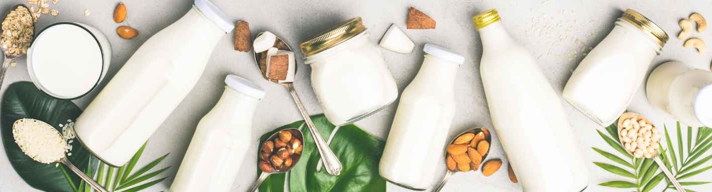 Laktosefreie Milchprodukte