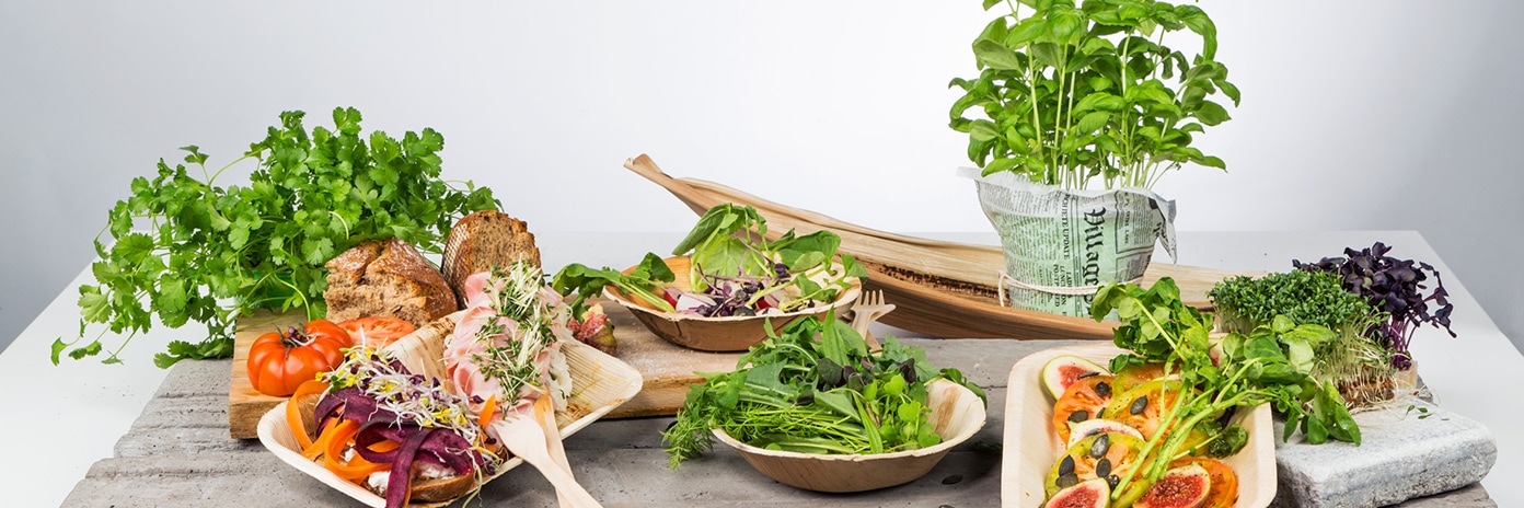 Einweg und Verpackung