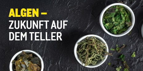 METRO Oesterreich, Algen