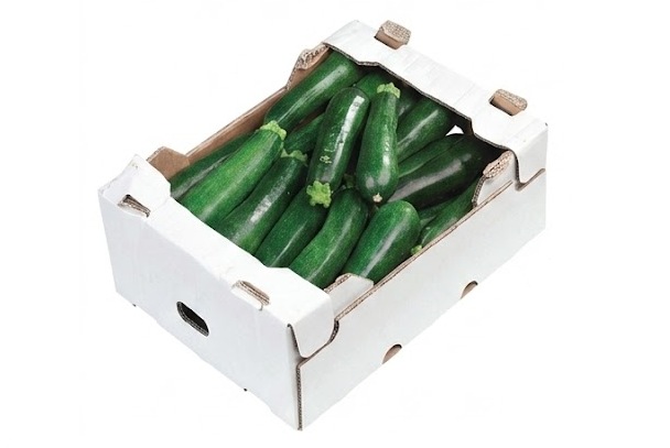 Zucchini in einem Karton, beste Qualität bei Metro