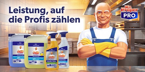 Meister Propper Putzmittel im Großhandel kaufen