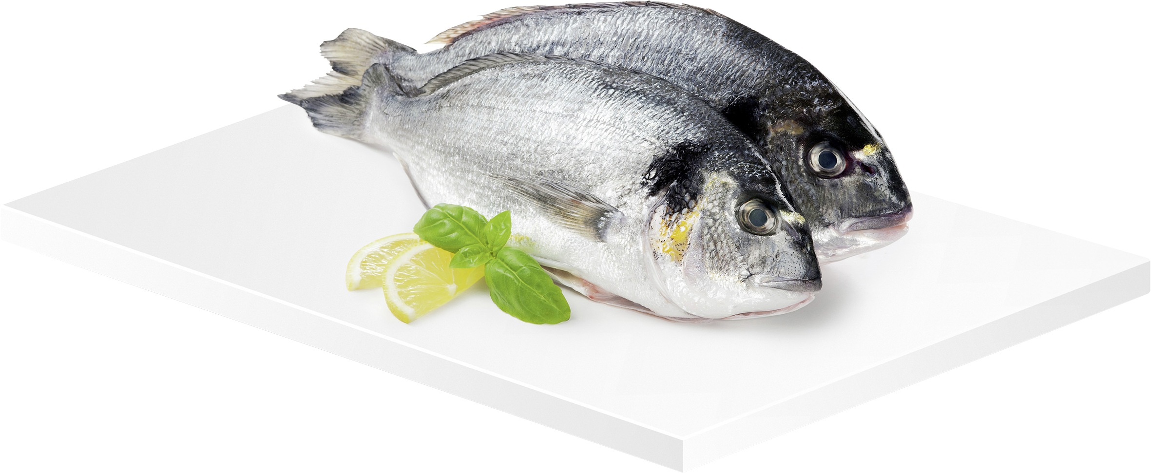 METRO Oesterreich, Ultrafrische, Ultrafrische Wochenhits, Frischfisch, Fisch, METRO Chef Goldbrasse