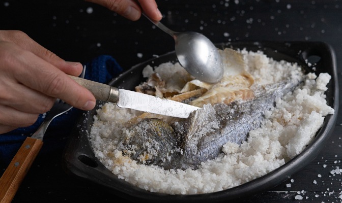 Фагри в солена кора