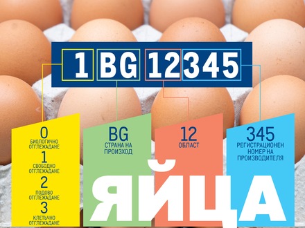Етичният избор на яйца: много повече от поредната покупка