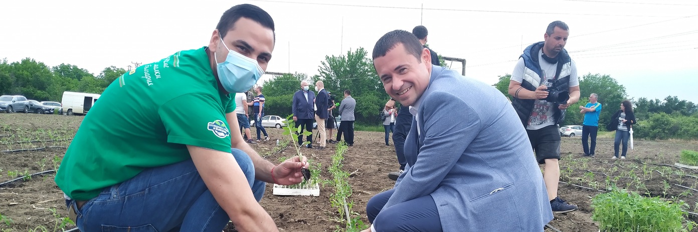 РОЗОВАТА МАГИЯ НА БЪЛГАРИЯ