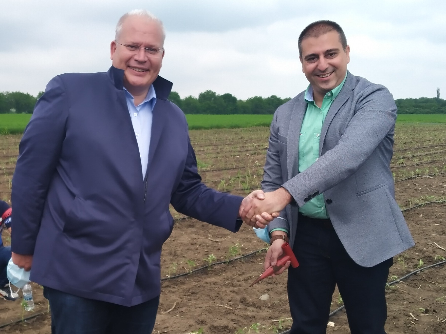 Розовата магия на България