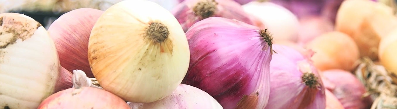 Реселешки воден лук 