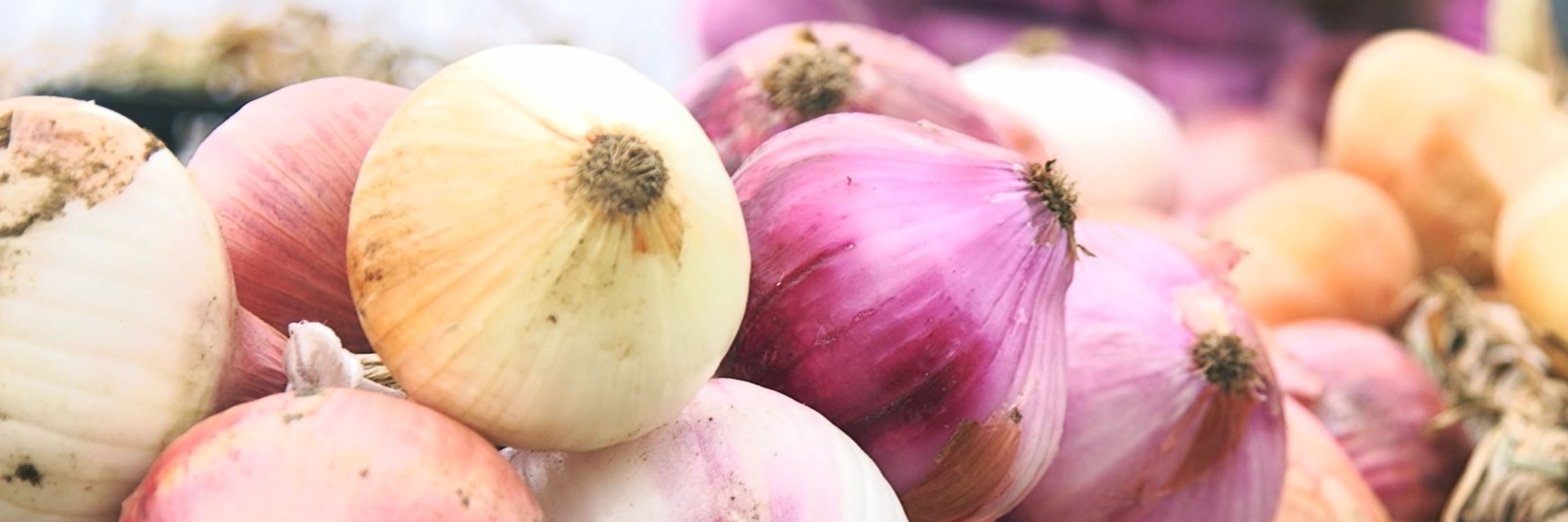 РЕСЕЛЕШКИ ВОДЕН ЛУК