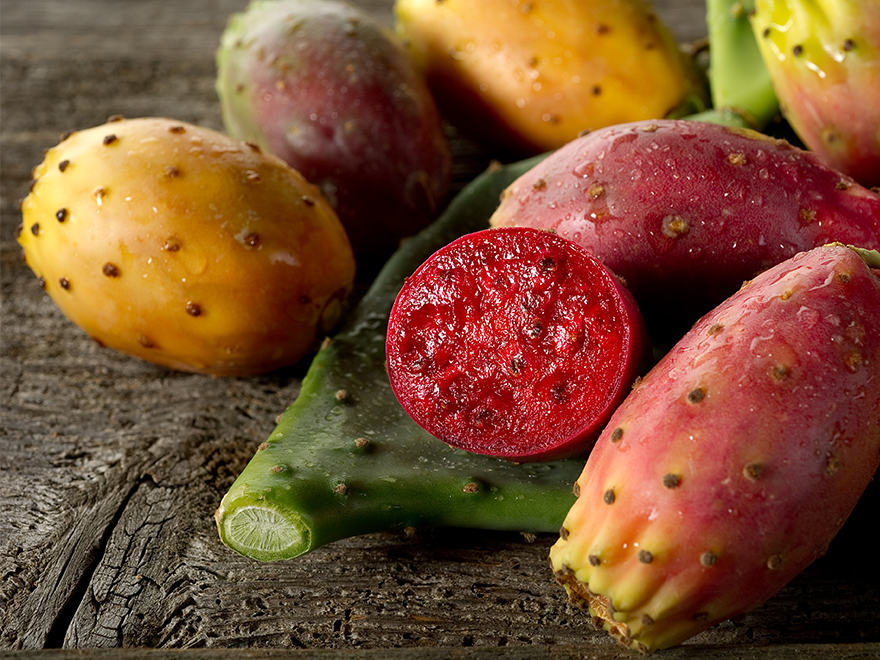 Кактусова смокиня