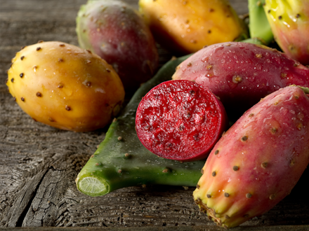 Кактусова смокиня