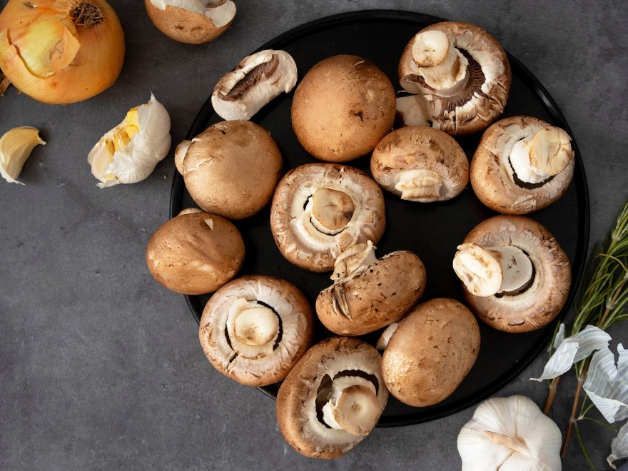 Кралска печурка