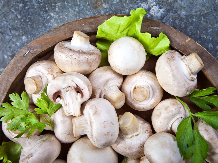 Бяла печурка