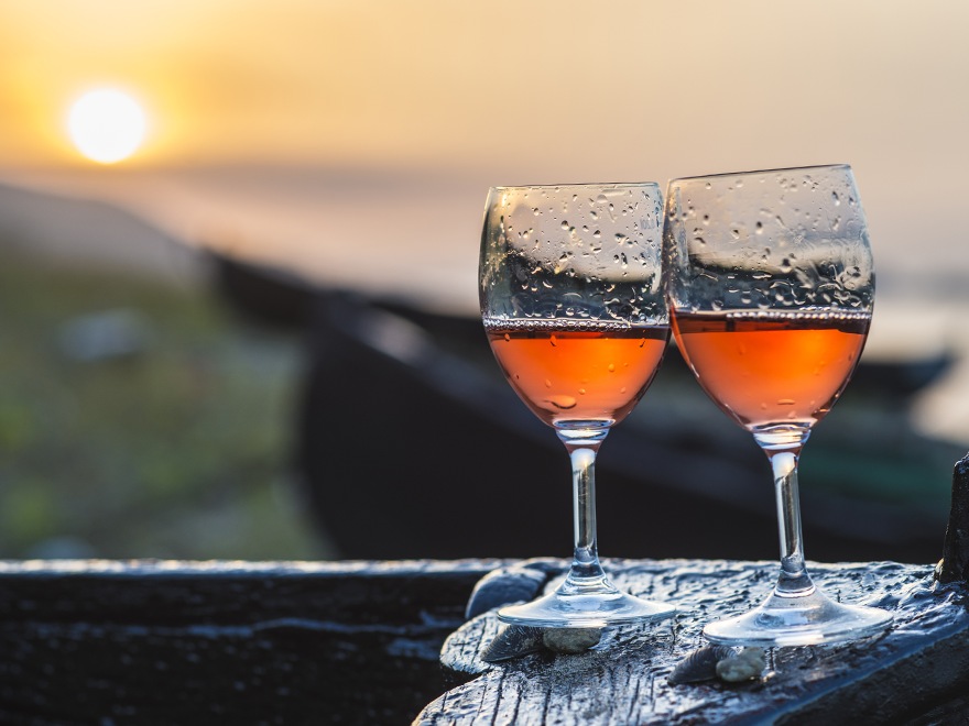 Дунавска равнина