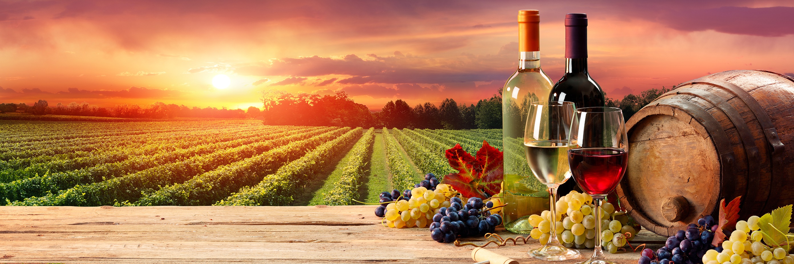 Вино от стария свят