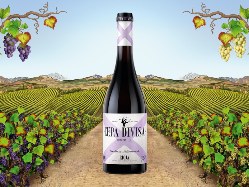 VINHAS DE MURÇA - DOP DOURO, ЧЕРВЕНО ВИНО 