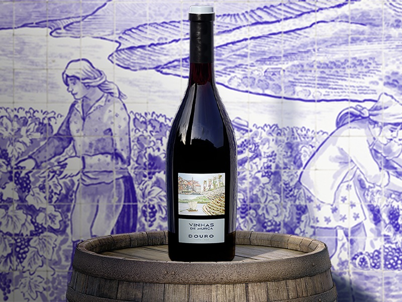 ПОДНЕСИ С ЧЕРВЕНО ВИНО VINHAS DE MURÇA - DOP DOURO