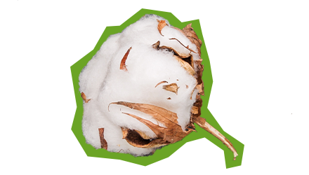 Plast nahrazujeme bavlnou