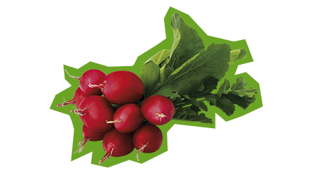 Proč zvolit lokální dodavatele