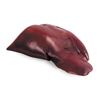 Telecí vnitřnosti a kosti