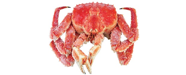 Krab kamčatský