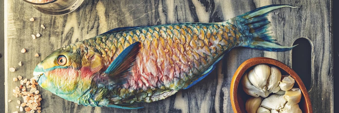 Ploskozubec modropruhý