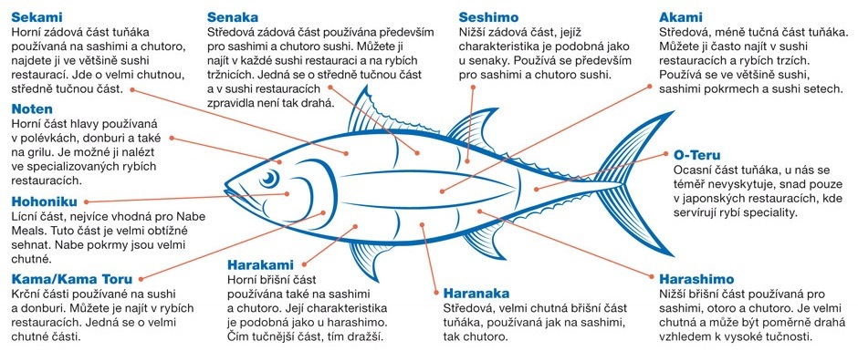 Tuňák žlutoploutvý