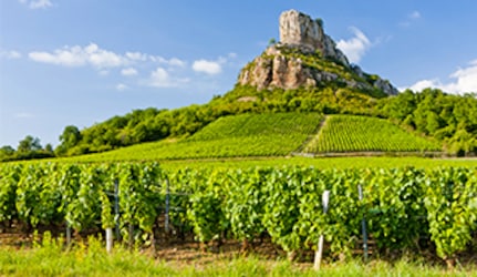 Burgundsko