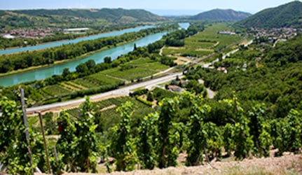 Côtes du Rhone