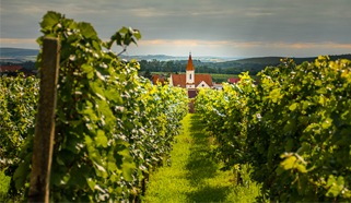 Mikulovská podoblast